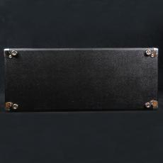 Fender Jack White Panoverb 100V JP_7