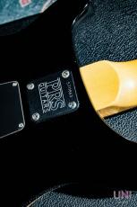 Paul Reed Smith [PRS] CE24 Black Cherry (Wide Thin Neck) / 1995_8