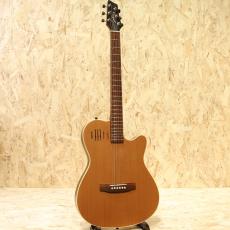 Godin A6 2006_3