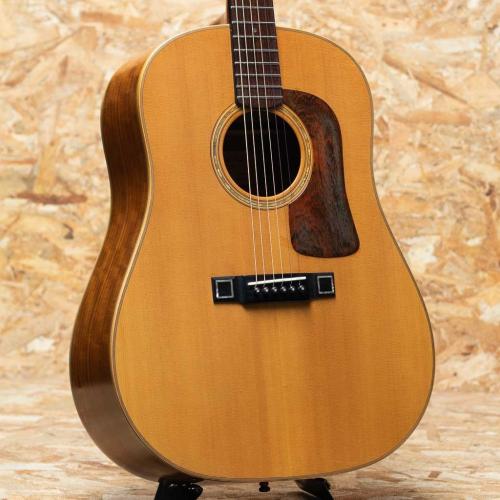 Washburn Harvest SJ D-67N 1985