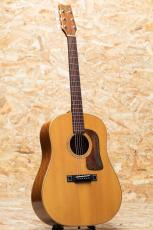 Washburn Harvest SJ D-67N 1985_3