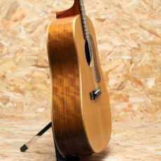 Washburn Harvest SJ D-67N 1985_4