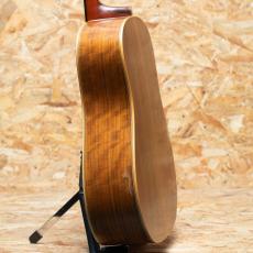 Washburn Harvest SJ D-67N 1985_5