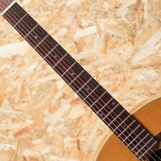 Washburn Harvest SJ D-67N 1985_6