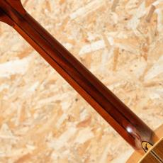 Washburn Harvest SJ D-67N 1985_7