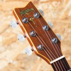 Washburn Harvest SJ D-67N 1985_8