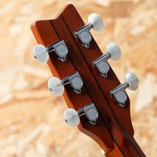 Washburn Harvest SJ D-67N 1985_9