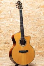 Jeff Sigurdson MJV Madagascar Rosewood 2006_3