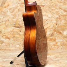 Jeff Sigurdson MJV Madagascar Rosewood 2006_5