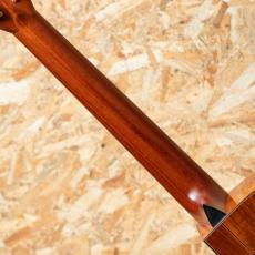 Jeff Sigurdson MJV Madagascar Rosewood 2006_7