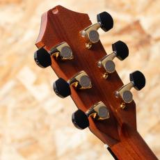 Jeff Sigurdson MJV Madagascar Rosewood 2006_9