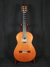 石井栄 杉/ローズウッド単板　615mmスケール_2