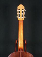 石井栄 杉/ローズウッド単板　615mmスケール_6