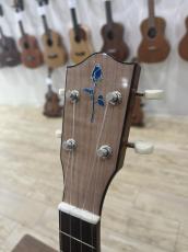 FGN Acoustic FUS-TC_4