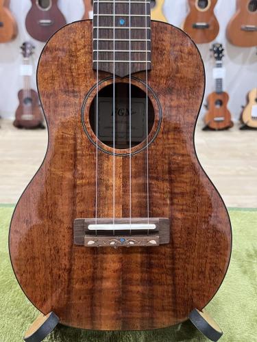 FGN Acoustic FUS-TC