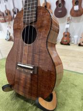 FGN Acoustic FUS-TC_2