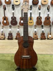 FGN Acoustic FUS-TC_3