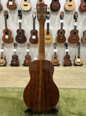 FGN Acoustic FUS-TC_5