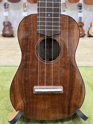 FGN Acoustic FUS-TS