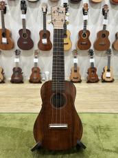 FGN Acoustic FUS-TS_2