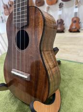 FGN Acoustic FUS-TS_3
