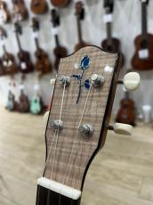 FGN Acoustic FUS-TS_4