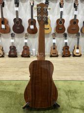 FGN Acoustic FUS-TS_5