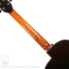 aNueNue Alan's Owl (Alan Gogoll Limited Edition)【48回無金利対象品】_6