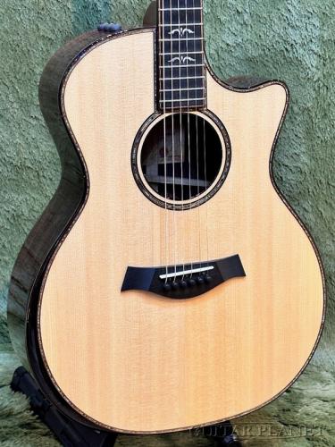 Taylor 【Taylor Deadstock Fair】 914ce V-Class # 12060273122【48回迄金利0%対象】【送料当社負担】