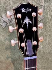 Taylor 【Taylor Deadstock Fair】 914ce V-Class # 12060273122【48回迄金利0%対象】【送料当社負担】_4