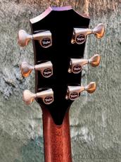 Taylor 【Taylor Deadstock Fair】 914ce V-Class # 12060273122【48回迄金利0%対象】【送料当社負担】_5