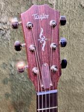 Taylor 【Taylor Deadstock Fair】 412ce Rosewood V-Class # 1209291070【48回迄金利0%対象】【送料当社負担】_4