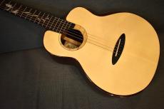 aNueNue M Phoenix Rising【USED】_2