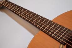 Simon&Patrick Woodland Mini Jumbo【USED】_6