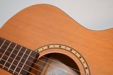 Simon&Patrick Woodland Mini Jumbo【USED】_11