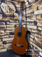 Nakade Teruaki [中出輝明] 1989年製  C50 杉・ハカランダ(CSA)【日本総本店2F 在庫品】