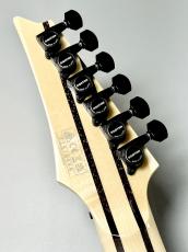Ibanez RG8620AH  BQZ ≒3.78kg_6