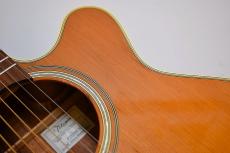 Takamine PTU508 N【USED/2005年】_11