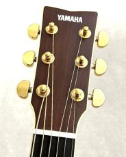 YAMAHA 【最初の1本ならまずはコレ!】LL16 ARE【オール単板!】【パッシブピックアップ搭載】_4