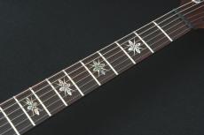 Paul Reed Smith [PRS] Private Stock Paul's 28 -Burnt Gold- 《PRS創業者製作の世界28本限定モデル》【USED】【町田店】_6