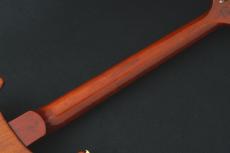 Paul Reed Smith [PRS] Private Stock Paul's 28 -Burnt Gold- 《PRS創業者製作の世界28本限定モデル》【USED】【町田店】_9