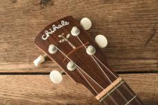 Chihale Works 6S-Wa Soprano Longneck Walnut_4