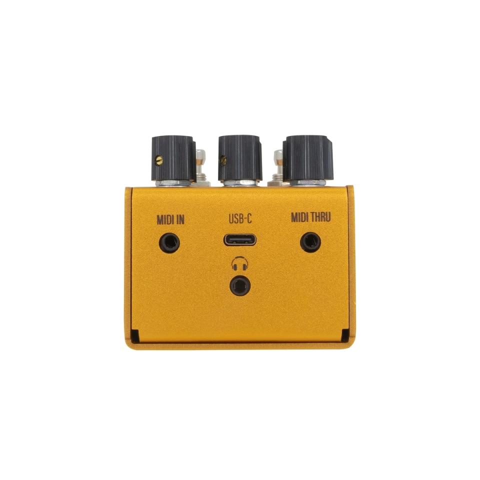WALRUS AUDIO Mako Series MKII ACS1《アンプ&キャビネット