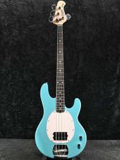 Sterling by MUSIC MAN SUB Intro Series RAY2 -Electric Blue-【オンラインストア限定】_2