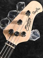 Sterling by MUSIC MAN SUB Intro Series RAY2 -Electric Blue-【オンラインストア限定】_5