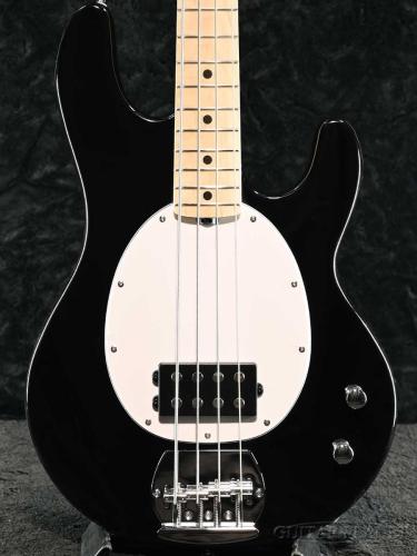 Sterling by MUSIC MAN SUB Intro Series RAY2 -Black-【オンラインストア限定】