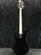 Sterling by MUSIC MAN SUB Intro Series RAY2 -Black-【オンラインストア限定】_4