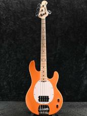 Sterling by MUSIC MAN SUB Intro Series RAY2 -Sunrise Orange-【オンラインストア限定】_2