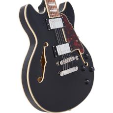 D'Angelico Premier Mini DC -Black-【オンラインストア限定】_2
