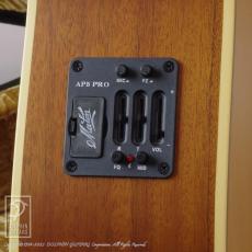 Maton EBG808TE (Tommy Emmanuel Signature)_13